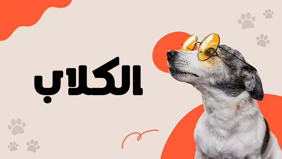 الكلاب