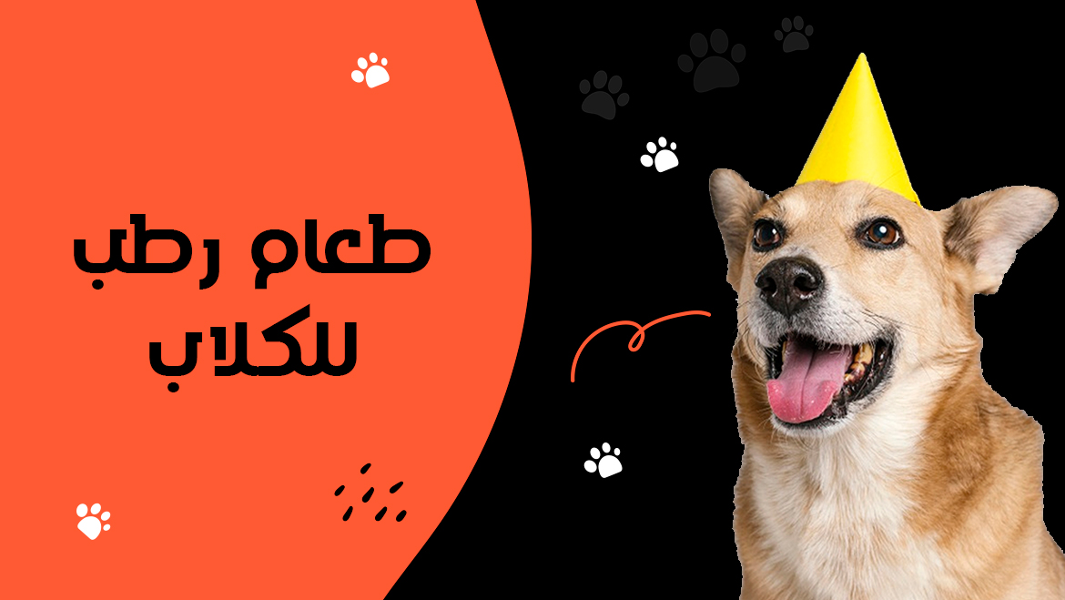 طعام رطب للكلاب