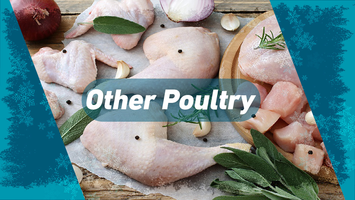 Other Poultry
