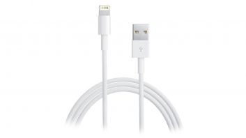 Apple Lightning to USB Cable 