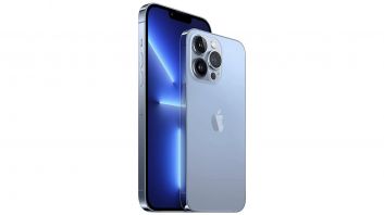 iPhone 13 Pro (256 GB)