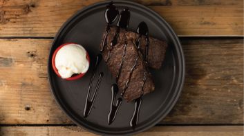Bountiful Chocolate Chips Brownie