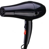 Pro blow dryer