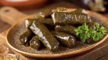 ورق عنب مصري