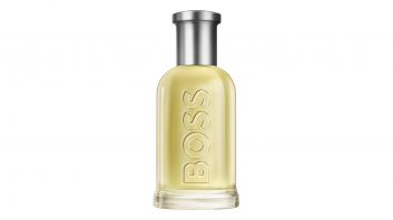 BOSS N06