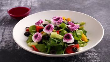 Feta Beetroot Salad