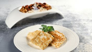 Omelet w Oats 10
