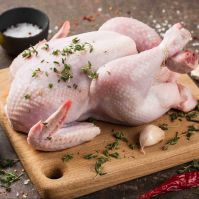  دجاج  كامل